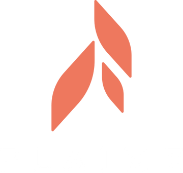 Flaime